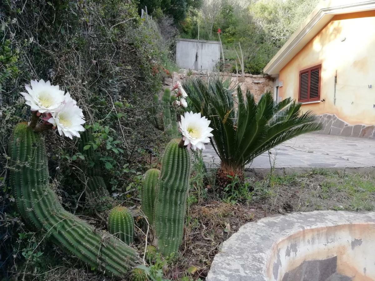 ホテル In Campagna Da Nino オルビア エクステリア 写真